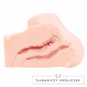 Kokos Onahole model anatomiczny TPE z teksturą skory 8809392182491 Kokos