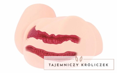 Pipedream Samanda model anatomiczny 3D realistyczny rozmiar XL Kokos