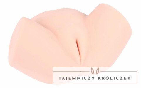 Pipedream Samanda model anatomiczny 3D realistyczny rozmiar XL Kokos