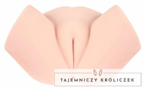Pipedream Samanda model anatomiczny 3D realistyczny rozmiar XL Kokos