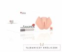 Pipedream Samanda model anatomiczny 3D realistyczny rozmiar XL Kokos