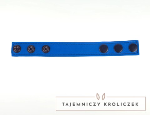 Cocky Pasek Regulowany Skorzany Niebieski 2,5 cm - System Zatrzaskow Red Leather