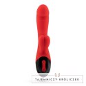 Crushious Dare Dong Red - Wielofunkcyjny Model Intymny z Wibracjami USB Crushious