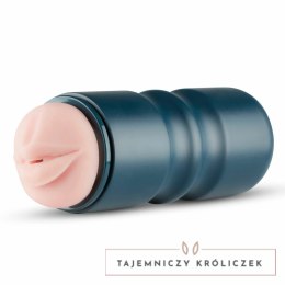 FPPR Anatomiczny Model Ustny z Teksturowanym Wnętrzem, Realistyczny Kolor FPPR.