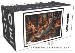 Liberator Aria Flip Chaise Grey - szezlong tapicerowany, regulowany, szary Liberator