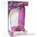 PINK ROOM Chems Model anatomiczny fioletowy 20 cm z przyssawką PINK ROOM