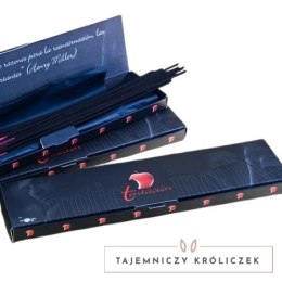 Tentacion Kadzidło z feromonami Czerwone Owoce 20 sztuk TENTACION