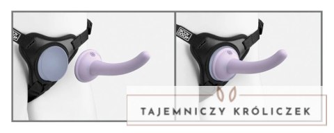 Dillio Platinum Body Dock System Fioletowy 14,6 cm Uprząż + Akcesorium Dillio Platinum
