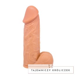 Seven Creations Model anatomiczny z podstawą 15 cm naturalny Seven Creations