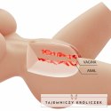 Crazy Bull Lily Torso kobiecy 41,9 cm - anatomiczny model TPR, 4 kg CRAZY BULL
