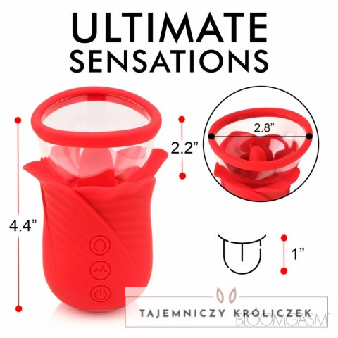 Lily Lover Model LS1 - System wibracji i funkcja zasysania, rożowy XR Brands