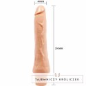 Baile Barbara model wibrujący 25 cm cielisty TPR regulacja mocy BAILE