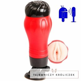 Crazy Bull Flora - Model intymny z bazą i funkcją dźwięku, 28,3 cm CRAZY BULL