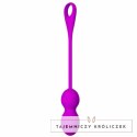 Pretty Love Elvira - fioletowy system do ćwiczeń mięśni Kegla, 12 trybow, USB PRETTY LOVE