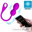 Pretty Love Elvira - fioletowy system do ćwiczeń mięśni Kegla, 12 trybow, USB PRETTY LOVE
