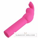 Pretty Love Gerardo mini masażer silikonowy, 10 trybow, wodoodporny PRETTY LOVE