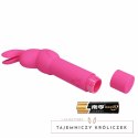 Pretty Love Gerardo mini masażer silikonowy, 10 trybow, wodoodporny PRETTY LOVE