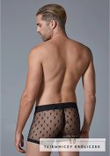 Allure Menswear szorty męskie L/XL z motywem gwiazdy czarne Allure