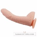 Baile Alex model anatomiczny z przyssawką 27 cm imitacja skory BAILE