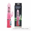 Baile Passion Rampante 10F Rożowy Model 27 cm - Wielofunkcyjny System Wibracji BAILE