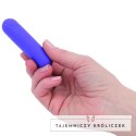 PowerBullet Essential Model Purple - Miniaturowy System Wibracyjny z Etui PowerBullet