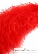 EXTREME by HIDDEN DESIRE Double Feather Tickler podwojna miotełka piorka Hidden Desire