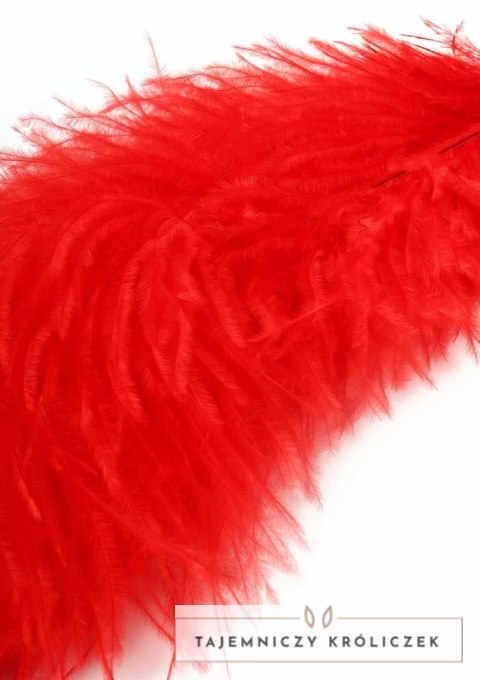 EXTREME by HIDDEN DESIRE Double Feather Tickler podwojna miotełka piorka Hidden Desire