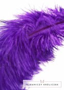 EXTREME by HIDDEN DESIRE Double Feather Tickler podwojna packa pior Hidden Desire