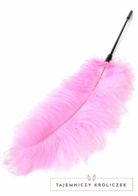 HIDDEN DESIRE Double Feather Tickler podwojna miękka packa piorka Hidden Desire