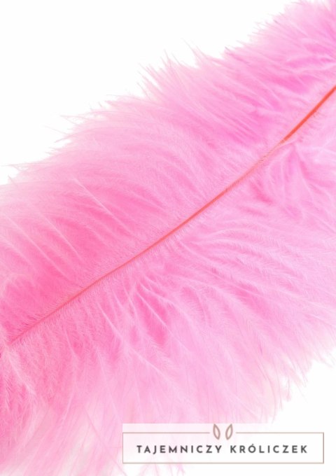 HIDDEN DESIRE Double Feather Tickler podwojna miękka packa piorka Hidden Desire