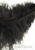 Hidden Desire EXTREME Double Feather Tickler podwojna miękka packa z pior Hidden Desire