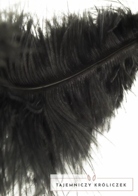 Hidden Desire EXTREME Double Feather Tickler podwojna miękka packa z pior Hidden Desire