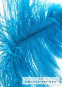 Hidden Desire EXTREME Double Feather Tickler podwojny piorkowy akcesorium czarny Hidden Desire