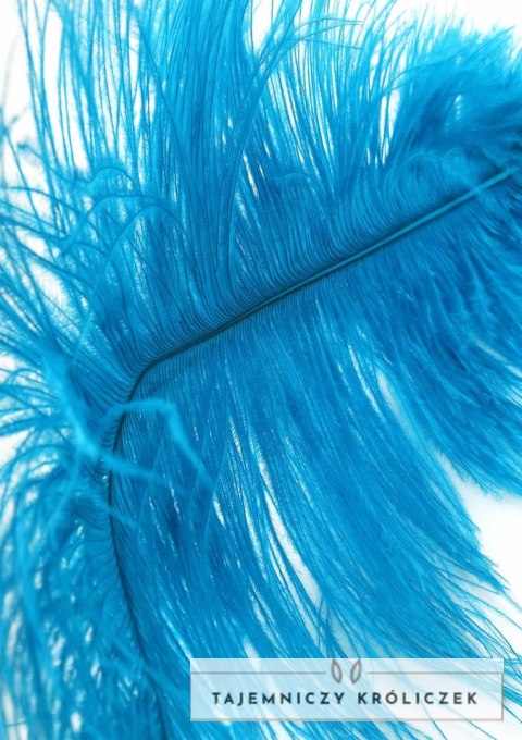 Hidden Desire EXTREME Double Feather Tickler podwojny piorkowy akcesorium czarny Hidden Desire