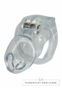 HIDDEN DESIRE Clear Control Cock Cage Regular - przezroczysty system kontroli, rozmiar Regular Hidden Desire