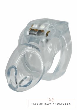 HIDDEN DESIRE Clear Control Cock Cage Regular - przezroczysty system kontroli, rozmiar Regular Hidden Desire
