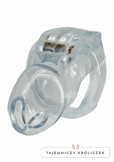 HIDDEN DESIRE Clear Control Cock Cage Regular - przezroczysty system kontroli, rozmiar Regular Hidden Desire