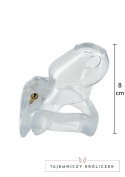 HIDDEN DESIRE Clear Control Cock Cage Regular - przezroczysty system kontroli, rozmiar Regular Hidden Desire