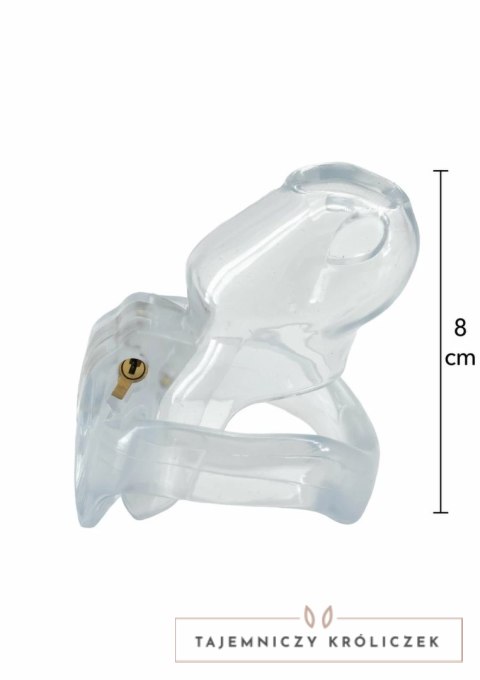 HIDDEN DESIRE Clear Control Cock Cage Regular - przezroczysty system kontroli, rozmiar Regular Hidden Desire