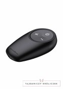 Hidden Desire Bullshead Power Anal Plug model z pilotem, 10 trybow, USB-C, czarny Hidden Desire
