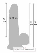INFERNO by HIDDEN DESIRE model PVC 16 cm anatomiczny kształt Hidden Desire