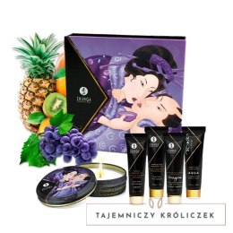 Zestaw akcesoriów - Shunga Geishas Secret Kit Exotic Fruits Shunga