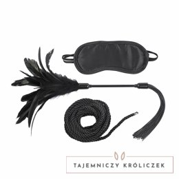 Zestaw bondage - Sportsheets Sex & Mischief Shadow Tie and Tickle Kit Sportsheets