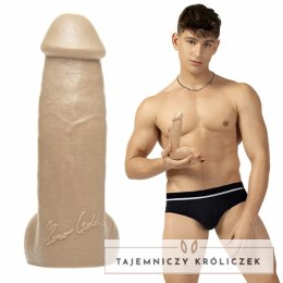 Dildo - Fleshjack Boys Reno Gold Fleshlight