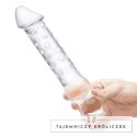 Szklane dildo - Glas Double Ended Glas