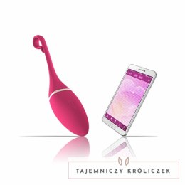 Wibrujące jajeczko - Realov Irena I Pink Realov