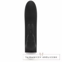 Wibrator - Fifty Shades of Grey Greedy Girl Rechargeable Mini Rabbit Vibrator Fifty Shades of Grey