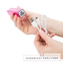 Masażer - PalmPower Plug & Play Wand Massager PowerBullet