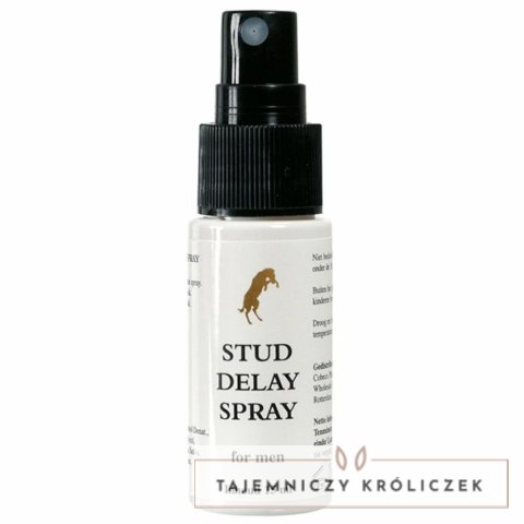 Spray opóźniający - Stud Delay Spray 15 ml Cobeco Pharma