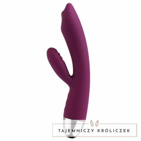 Wibrator - Svakom Trysta Rabbit Vibrator Violet Svakom